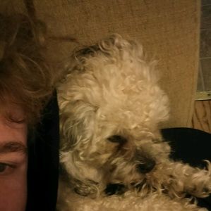 Meet your Posher, Maximus